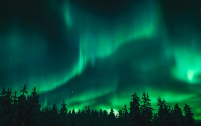 Northern Lights: Tips For Seeing Them At Elk Ridge